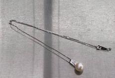 PT850/PT900 ネックレス|その他