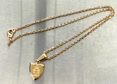 ペンダントトップ|D&G