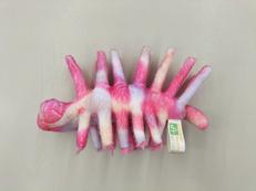 ハルキゲニア|SHYARURU PALETTE