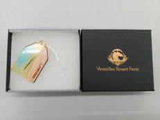 タニノギムレット 勝守 たてがみ入り|ヴェルサイユリゾートファーム