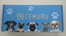 DOG WHEELCHAIR　犬用車いす|BECEMURU