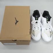 バレーボールシューズ|MIZUNO