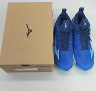 バレーボールシューズ|MIZUNO