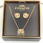 ピアス・ネックレスセット|COACH