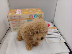 お話だーいすきっ!元気いっぱい犬|ブロードウォッチ