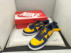 スニーカー ターミネーターLOW|NIKE