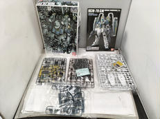 ジム HG 1/144 ガンダム サンダーボルト版