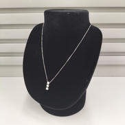 PT850、PT900ネックレス|貴金属