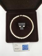 淡水パール(ネクレス・ピアス)|不明