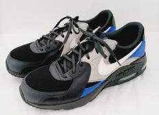 AIR MAX　29CM|NIKE
