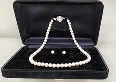 ネックレス＆イヤリング(パール)|メーカー無し