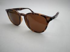 サングラス|Ray Ban