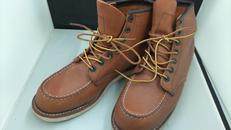 アイリッシュセッター|RED WING