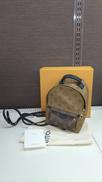 モノグラムリバース パームスプリングス ミニ|LOUIS VUITTON