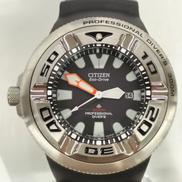 PROMASTER PROFESSIONAL DIVERS|CITIZEN
