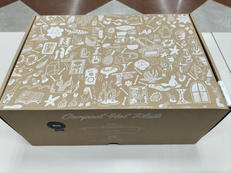 コンパクトホットプレート|BRUNO