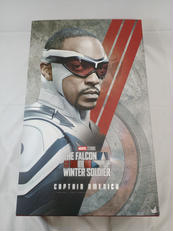 THE FALCON AND THE WINTER SOLD|HOT TOYS