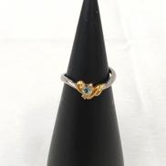 PT900/K18リング|不明