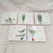 スクウェアプレート5枚セット|NORITAKE