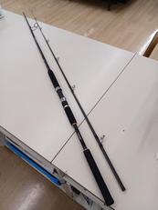 ロッド|DAIWA
