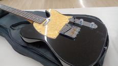 エレキギター|GRASSROOTS