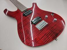 エレキギター|PARKER