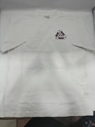 PALACE BASICALLY A TRI-FERG|PALACE