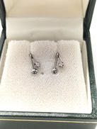 PT900 イヤリング|ESTELLE