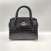 アンドレア ミニキャリーオール|COACH