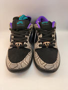 ダンクローSB|NIKE