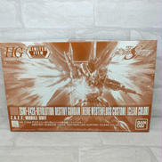 HG デスティニーガンダム(ハイネ専用機) クリアカラー|BANDAI