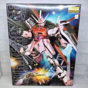MG 1/100 MBF-02 ストライクルージュプラモデル