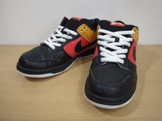 DUNK LOW PRO ロズウェル・レイガンス|NIKE