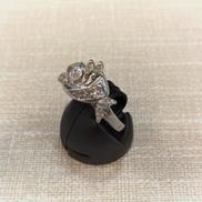 PT900CT0.34リング|不明