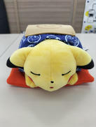 マンスリーピカチュウ|ポケセン