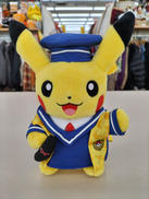 マンスリーピカチュウ|ポケセン