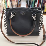2WAYバッグ|COACH
