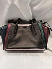 ドリーマーカラーブロック|COACH