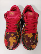 THE WIZARD OF OZ×NIKE SB DUNK|NIKE