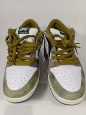 ALEXIS SABLONE×SB DUNK LOW PRO|NIKE