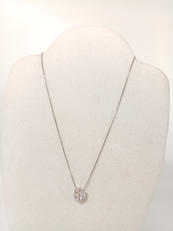 PT850＆PT950 ネックレス|不明