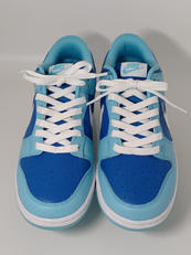 DUNK LOW RETRO QS ARGON|NIKE