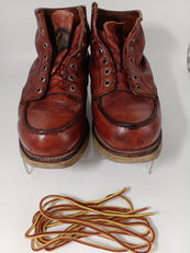 半円 犬タグ アイリッシュセッター|RED WING