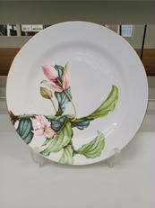 プレート皿|WEDGWOOD