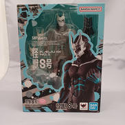 S.H.FIGUARTS|BANDAI NAMCO