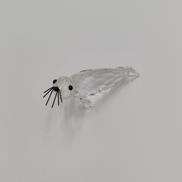 ガラス細工|SWAROVSKI
