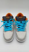 SB DUNK LOW PRO|NIKE