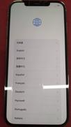 IPHONE12PROMAX|APPLE