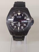 エコドライブ プロマスター|CITIZEN