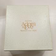 ティーポット&マグセット|たち吉